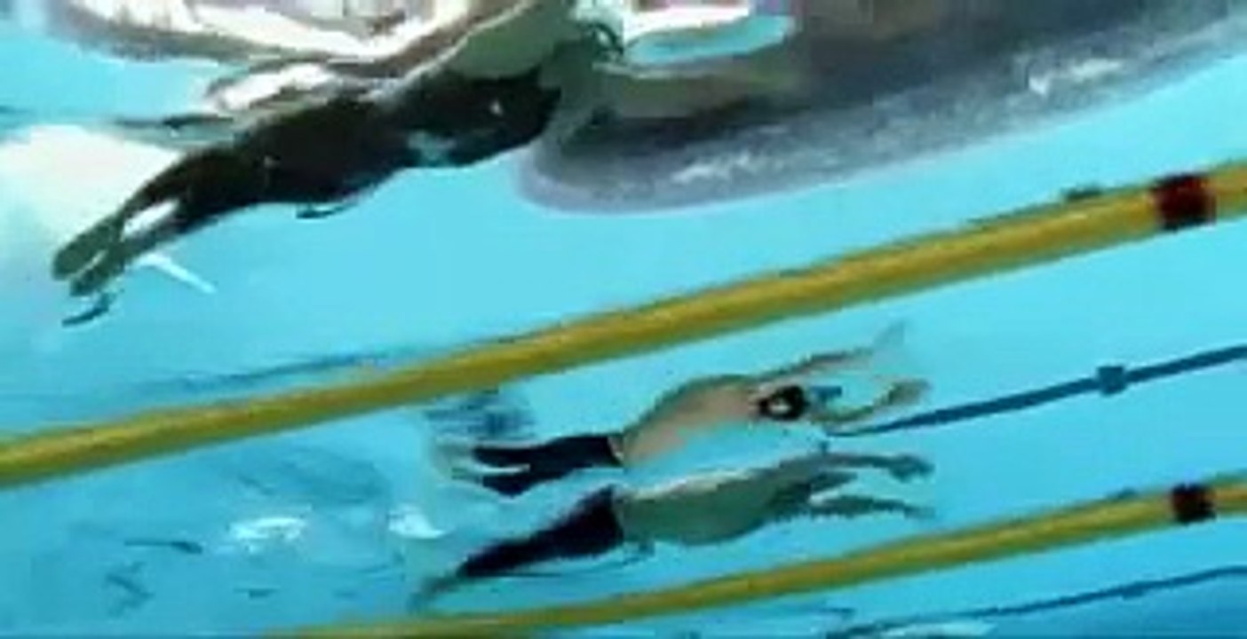 Phelps beat Cavic 100m Butterfly Final 2008 Beijing (Underwater View)