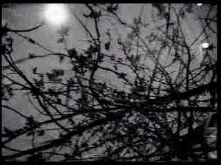 MARK LANEGAN 'Ugly Sunday'