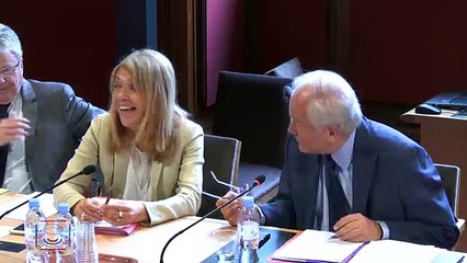 Audition de  Marie-Christine Saragosse, présidente-directrice générale de France Médias-Monde