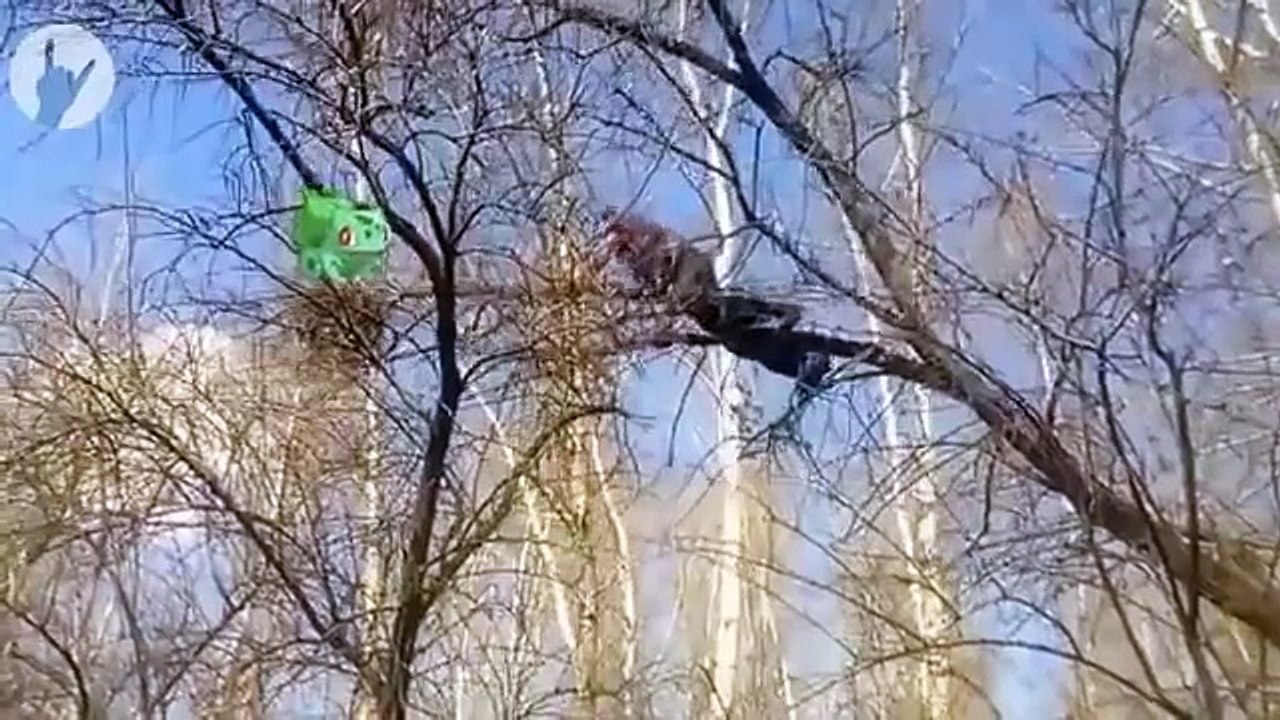 Прикол упал с дерева Серожа )) ПОКЕМОН ГО (POKEMON GO)