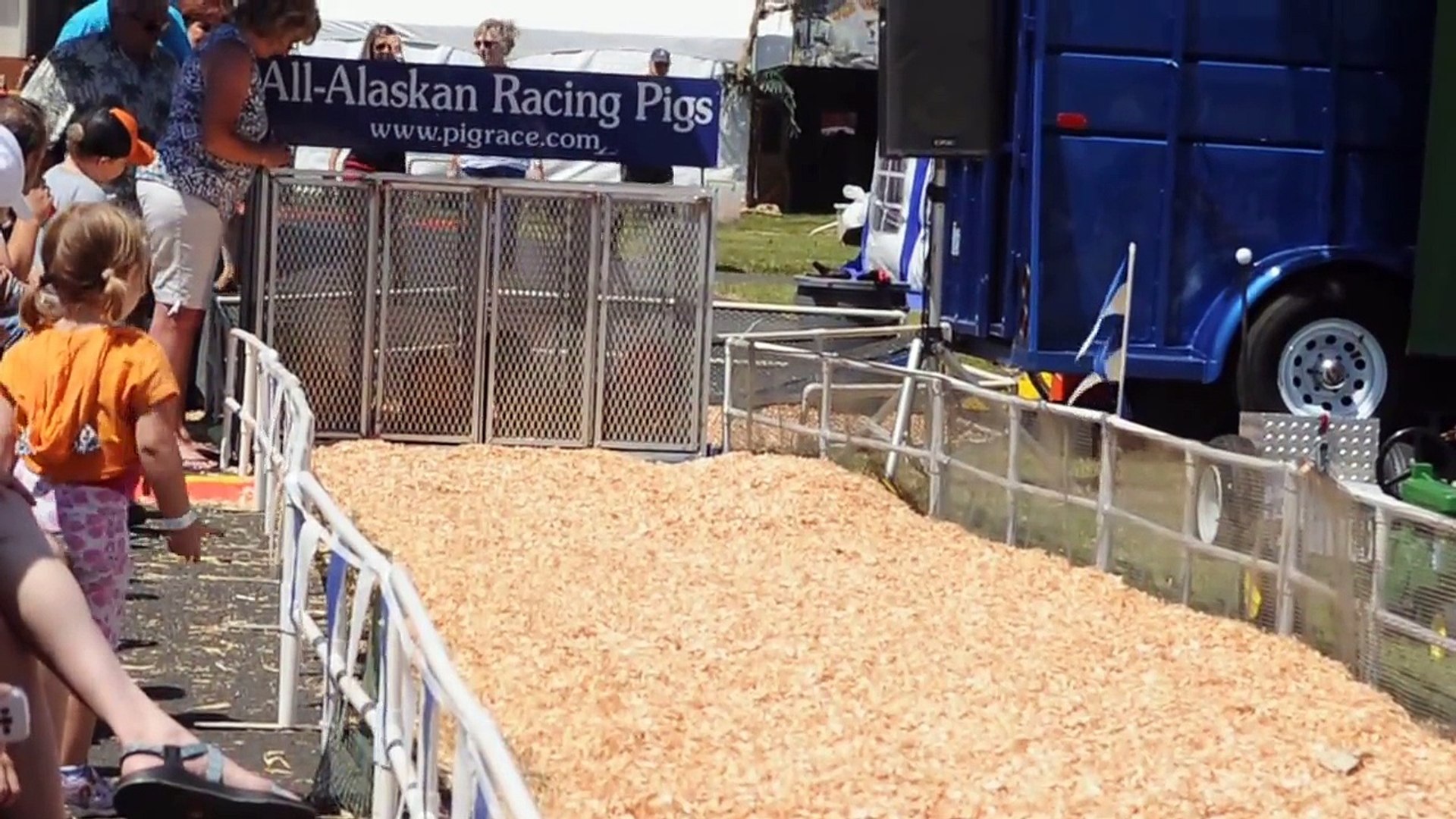 Alask Pig Race, Lane County Fair, Eugene, Oregon