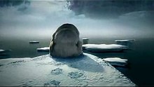 Stop Global Warming