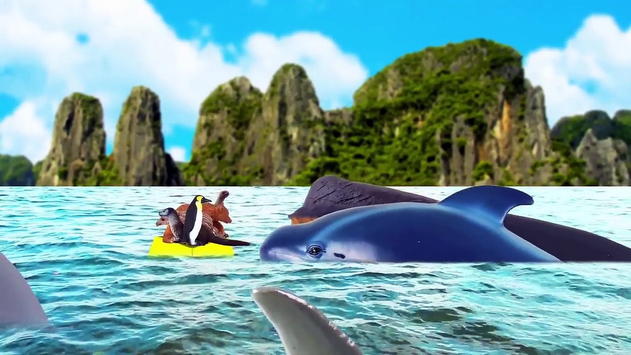 [EN] Run away from the hippo!! infant english education, learn animals name, collectaㅣCoCosToy