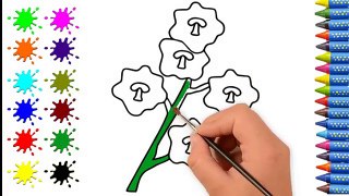 White Flower Coloring Page Drawing for Kids | How to Draw & Paint White Flower Coloring Pages