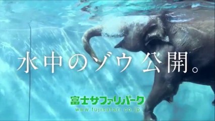 サウンドロゴを集めてみた Part 11-15