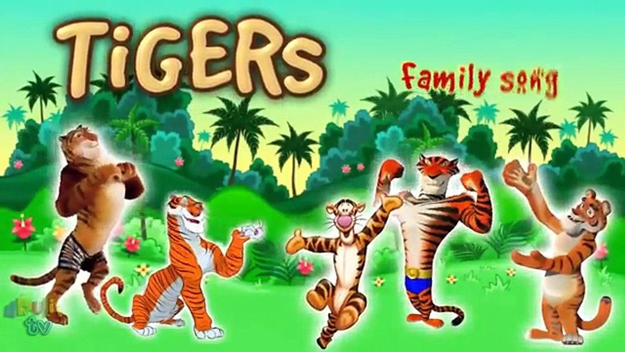 Cartoon Tigers transform into Real Tigers | Finger Family Song | Nursery Rhymes