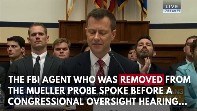 Peter Strzok Testifies On Anti-Trump Bias