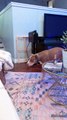 Cat quickly puts playful pit bull in her place