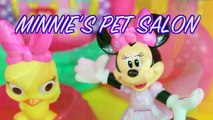 Minnie Mouse Pet Salon Daisy Disney Store Mickey Mouse Bowtique