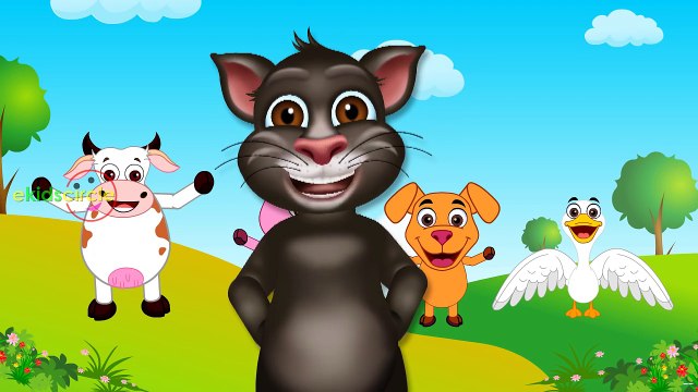 Old MacDonald Nursery Rhymes for Children | Tom Cat Old MacDonald Had a Farm Songs