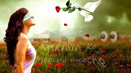 WhatsApp Status Video and Song Collection