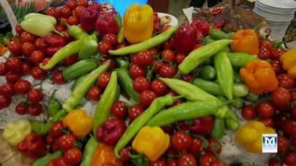 MEGERIAN RUG GALLERY & MEGERIAN RUG CLEANERS - Megerian's 100th Anniversary Celebration