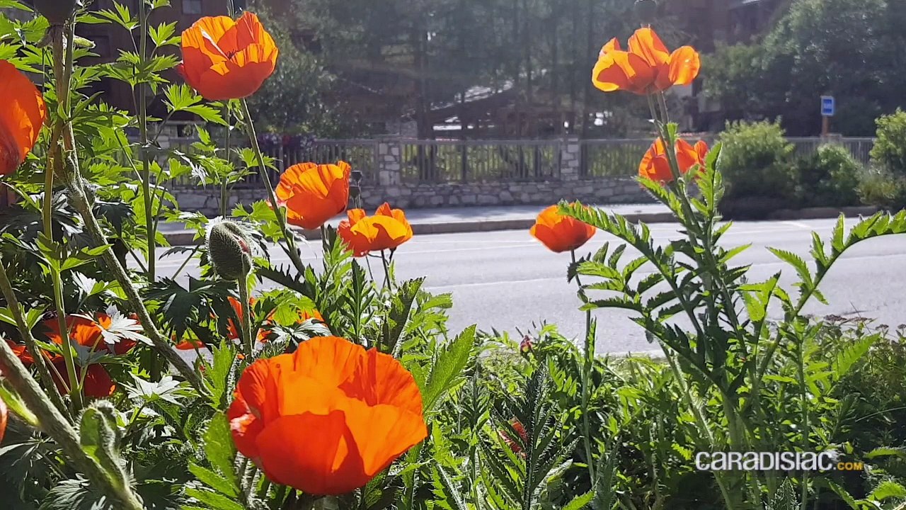 Val d'Isère 2018 - Le col de l'Iseran en Volkswagen e-Golf