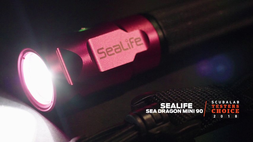 ScubaLab Testers Choice: SeaLife Sea Dragon Mini 900