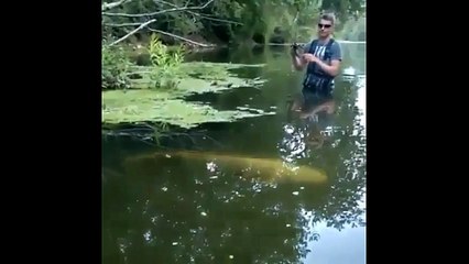 Excellent Fishing Bait for Bass