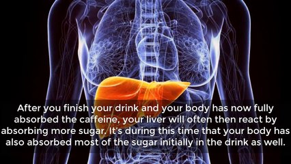 What Red Bull Does to Your Body Just 24 HOURS After Drink A Can