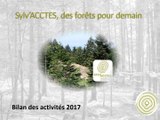 Sylv’Acctes: bilan 2017 et liens entre forêts et carbone