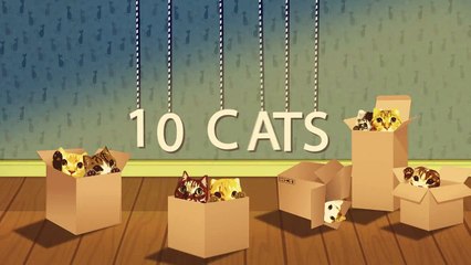 Japanese spiny lobster vs Cat  猫vs伊勢海老-1