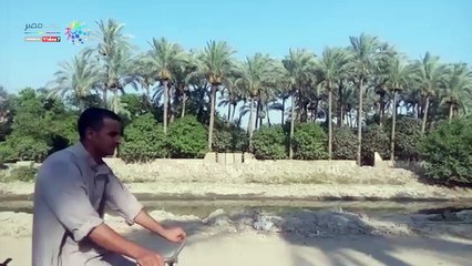 تعرف على مدينة القرين بالشرقية.. بلد المليون نخلة