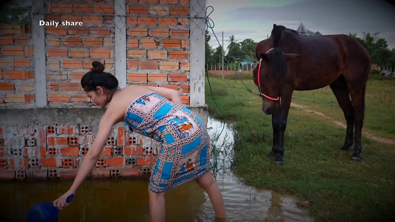 Wow Fantastic How to Wash and Care for Your Horse's_ My Sister Learn How To B