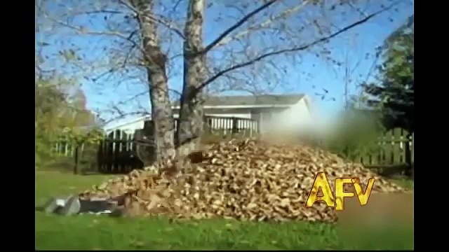 Best Of America’s Funniest Home Videos Part 7 - AFV Funniest Videos Compilati