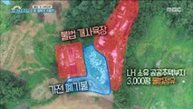 [morning power station][아침발전소]Why animals are neglected! 동물들이 방치된 이유!20180713
