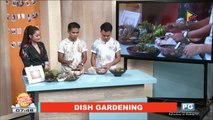 ARTSY CRAFTSY: Dish gardening