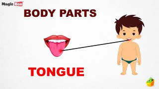 Body Parts Intro - Body Parts - Pre School - Learn Spelling Videos For Kids
