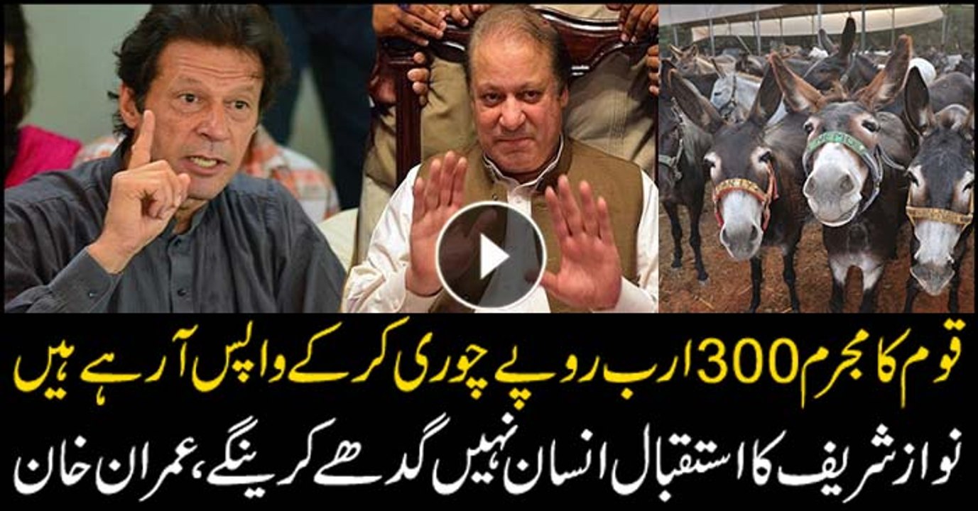Those who support Nawaz are actually supporting a criminal, Imran Khan