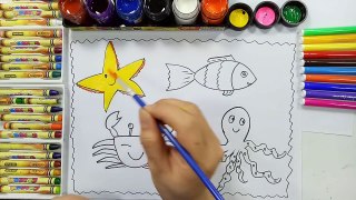 Vẽ và tô màu một số động vật sống dưới biển - Trang cherry