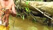 Primitive Technology - Find Crabs in River for food - Cooking Crabs eating delicious
