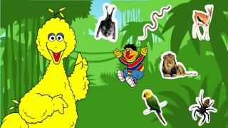 Journey to Ernie Sesame Street Games PBS Kids