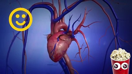 7 Foods Falsely Accused of Being Bad for Us