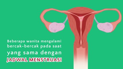 MOM AND KIDS Perkembangan Janin Minggu 3