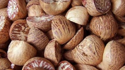 ಅಡಿಕೆಯಿಂದ ಕ್ಯಾನ್ಸರ್ ಬರುತ್ತೆ ಎಂಬ ಬಗ್ಗೆ ಉಡುಪಿಯ ಎಸ್ ಡಿಎಂ ಸಂಶೋಧನಾ ಕೇಂದ್ರ ಹೇಳೋದೇನು?  | Oneindia Kannada