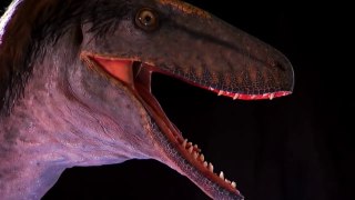 Discovery of New Giant Dinosaurs | BBC Documentary HD