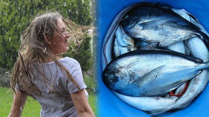 Monsoon: Don’t Eat Fish | बारिश के मौसम में इसलिए नहीं खानी चाहिए मछली | Boldsky