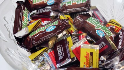 Neeti Grad Party Highlight