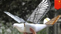 China to increase surveillance by using robotic doves