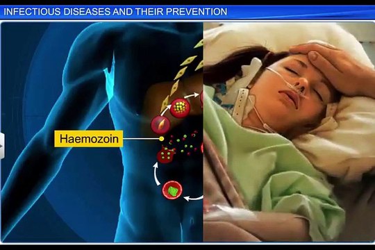 (2)CBSE Class 12 Biology, Human Health And Disease – 2, Infectious Diseases and Their Prevention