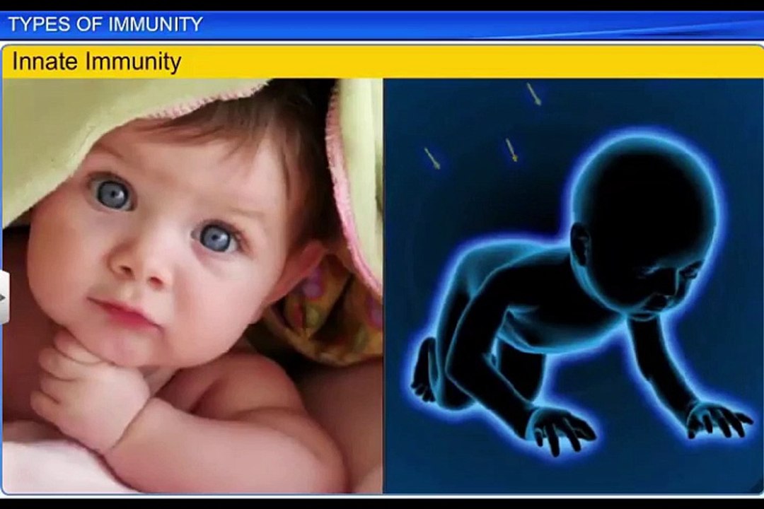 (3)CBSE Class 12 Biology, Human Health And Disease – 3, Types of Immunity