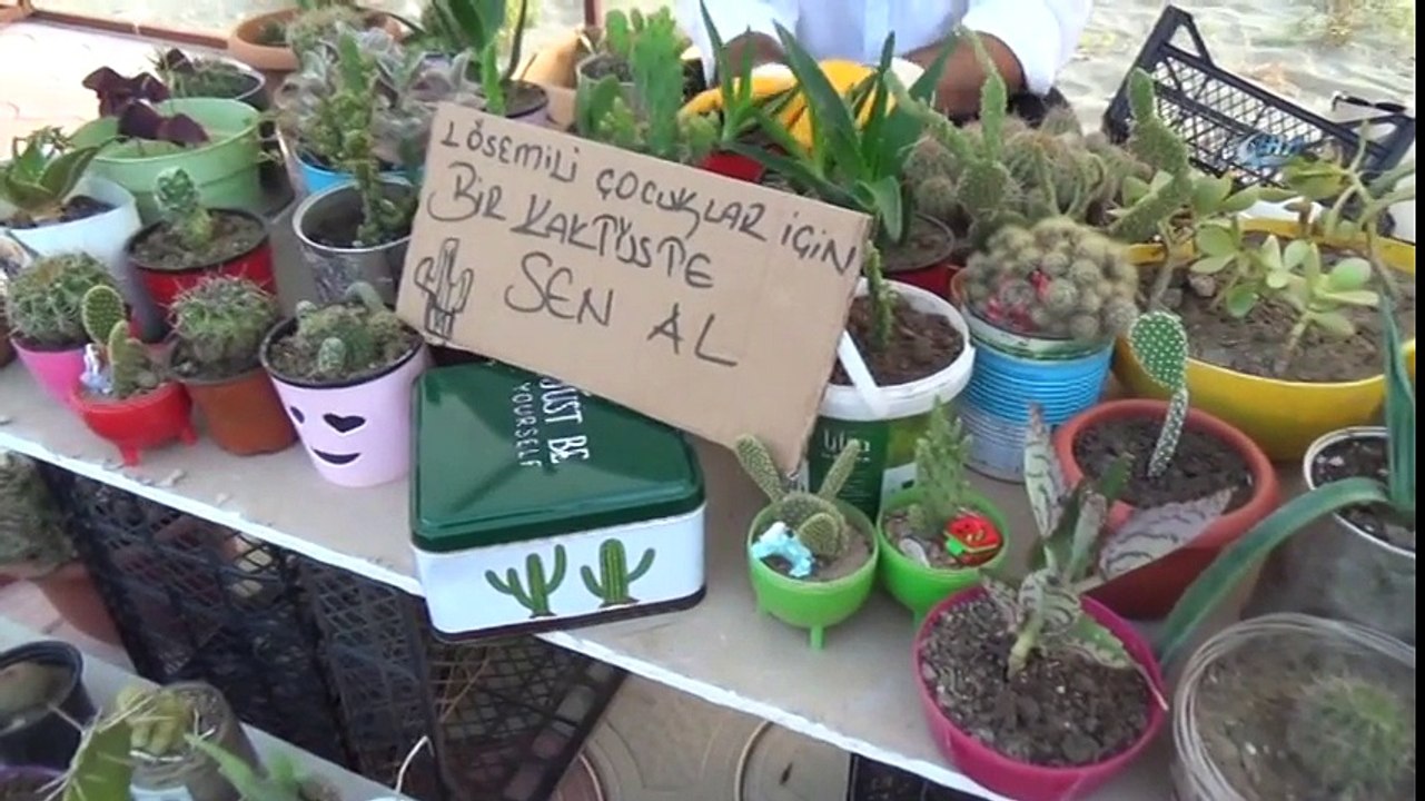 Lösemili Çocuklar İçin Kaktüs Satıyorlar