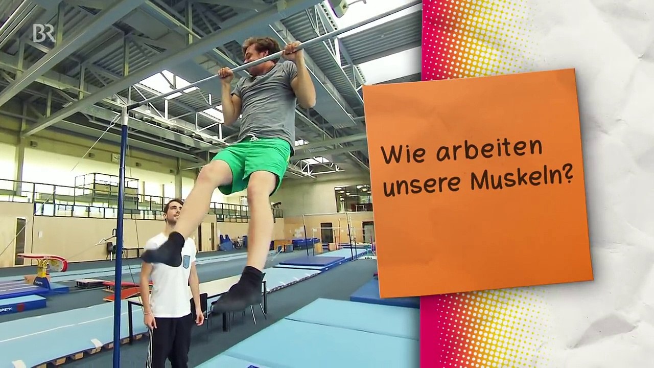 Der Body-Check | Reportage für Kinder | Checker Tobi