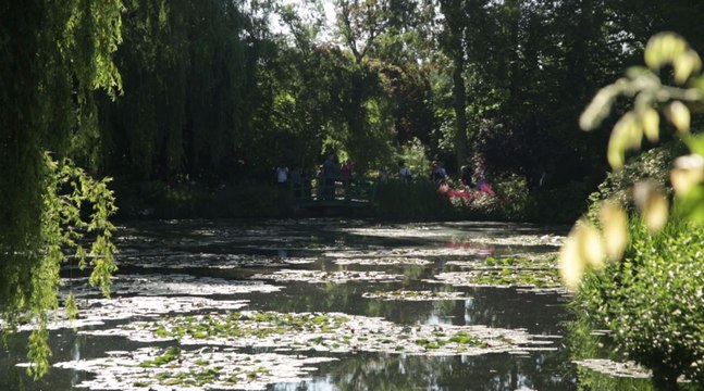 Jardin d'Exception : Découvrez le Jardin d’Eau de la Fondation Claude Monet