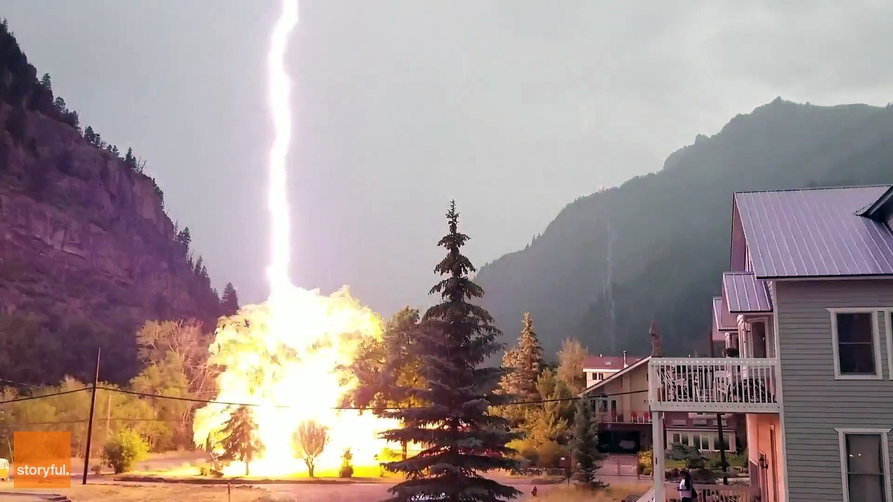 Un éclair frappe un arbre (Colorado)