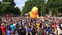 'Trump baby' balloon takes flight as protests kick off in London