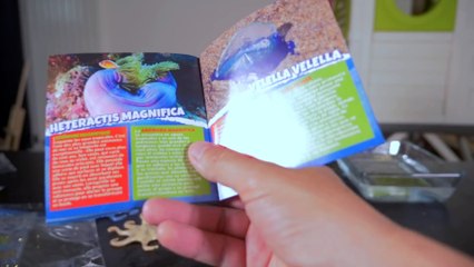 CUISINE BIZARRE • SOUPE SLIMY AUX MÉDUSES - Studio Bubble Tea Tentacles & Co