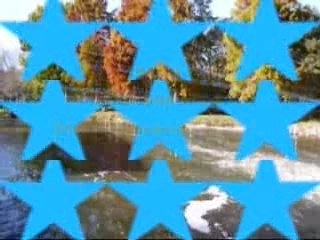 Montages Salbris