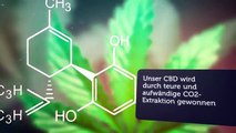 CBD Öl, die wichtigsten Fragen und Antworten. CBD-Kauf verwendet nur hochwertigste CBD Öle