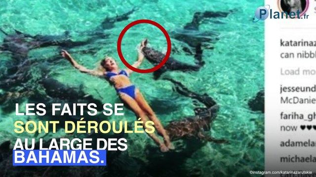 Une top-modèle attaquée par un requin en pleine séance photo